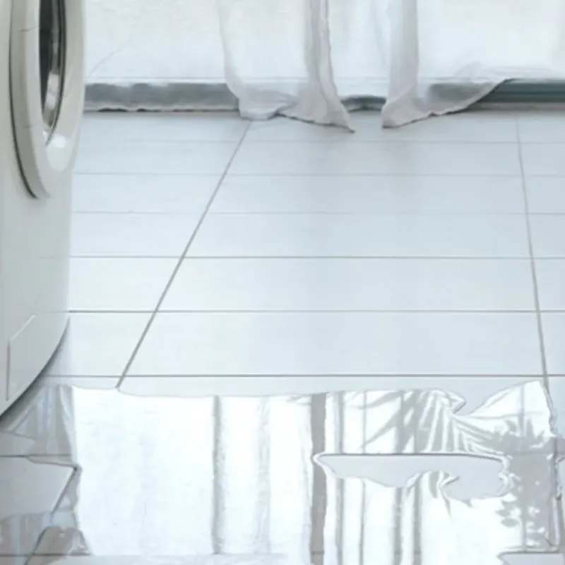 Appliance Leak Cleanup in Livingston, TX