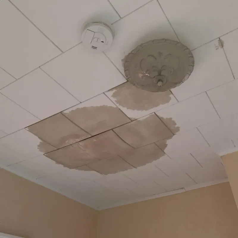 Ceiling Water Damage Repair in Livingston, TX