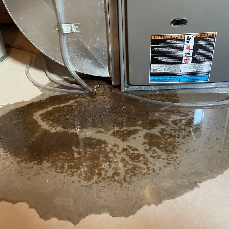 Pipe Burst and Leak Restoration in Livingston, TX